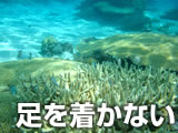 沖縄の海でのマナー：砂地や明らかな岩場以外で足をつかない