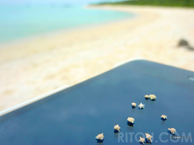 星砂が確実に見つかるビーチ４選！今すぐ沖縄の離島へ行こう！