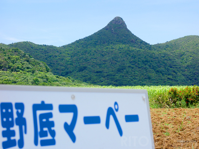 300mで山頂！石垣島の野底岳(野底マーペー)を120％楽しむ方法